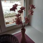 Appartement Rosengarten Rosenthal-Bielatal