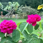Rosengarten * Rosenthal-Bielatal