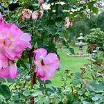 Апартаменты Rosengarten Rosenthal-Bielatal