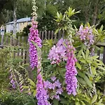 Rosengarten Rosenthal-Bielatal