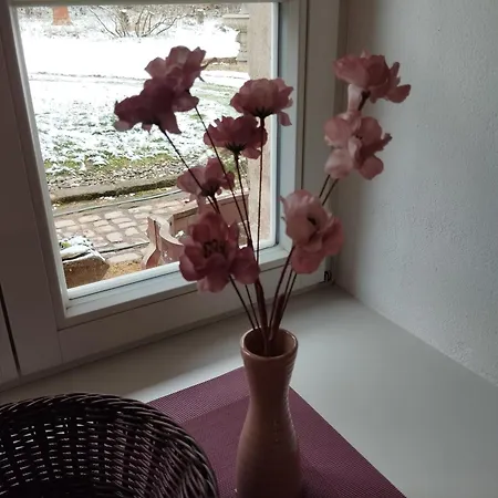 Appartement Rosengarten Rosenthal-Bielatal