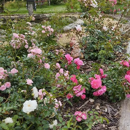 Rosengarten * Rosenthal-Bielatal