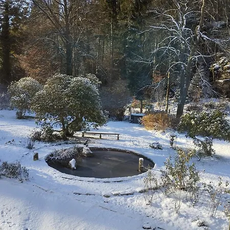 Lägenhet Rosengarten