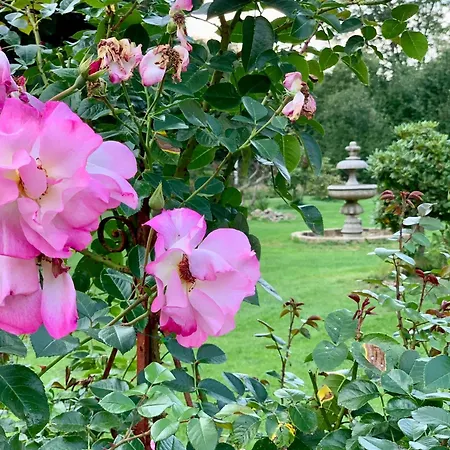아파트 Rosengarten Rosenthal-Bielatal