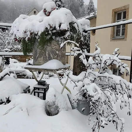 Rosengarten Rosenthal-Bielatal