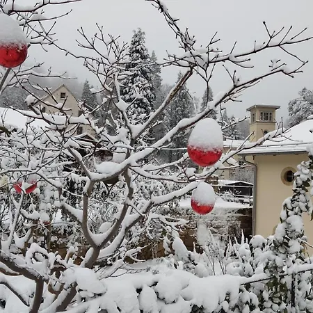 Appartement Rosengarten Rosenthal-Bielatal