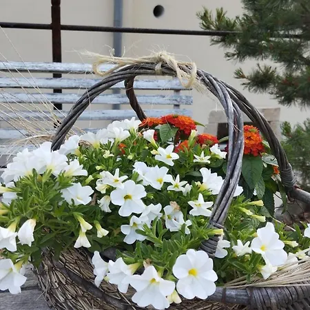 Rosengarten * Rosenthal-Bielatal