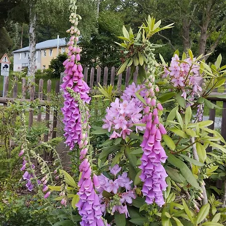 Rosengarten Rosenthal-Bielatal