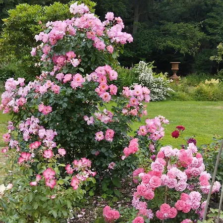 Appartement Rosengarten