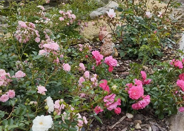 Rosengarten * Rosenthal-Bielatal