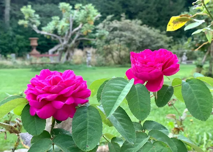 Rosengarten * Rosenthal-Bielatal