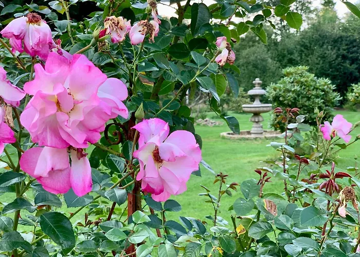 Appartement Rosengarten Rosenthal-Bielatal