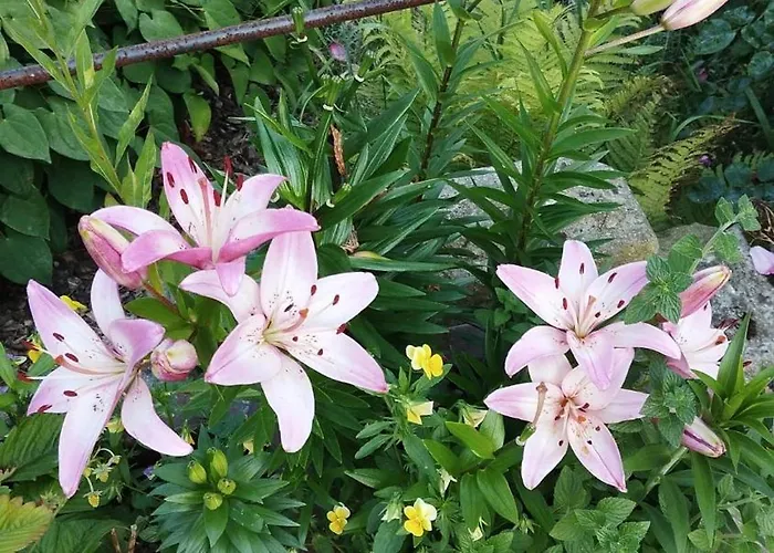 Appartement Rosengarten